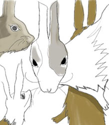 Lapin